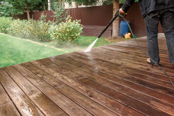Best Roof Cleaning and Mildew Removal in Perryman, MD